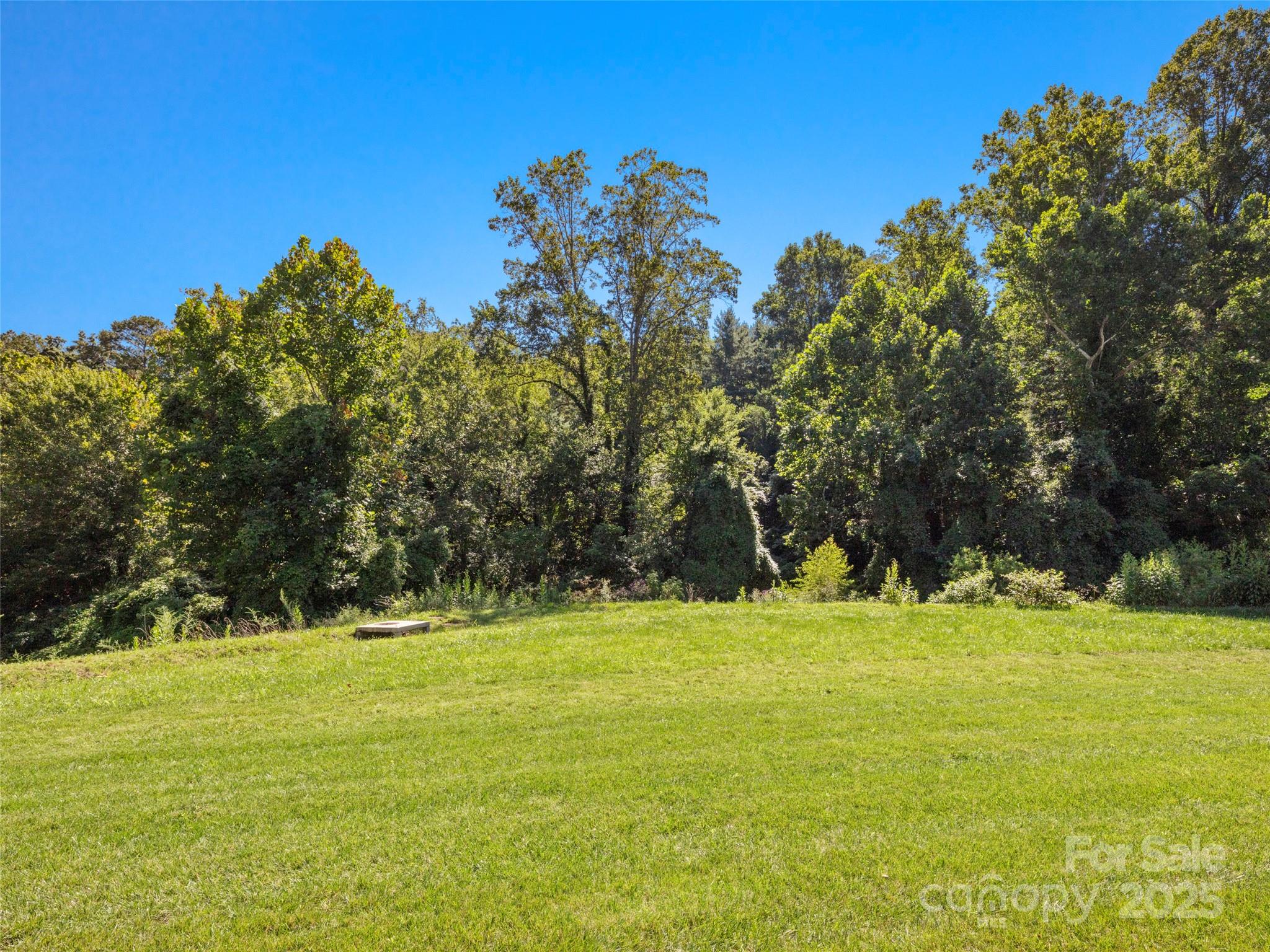 42 Mayday Street Asheville NC 28806