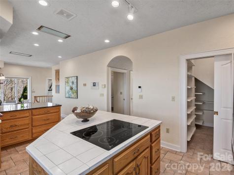 33 Elk Ridge Drive Asheville NC 28804