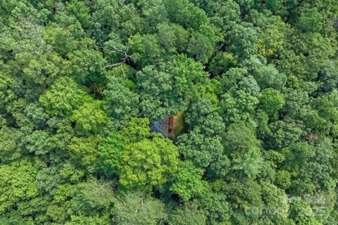 118 Blossom Road Brevard NC 28712