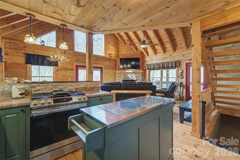 170 Wilkes Road Bryson City NC 28713