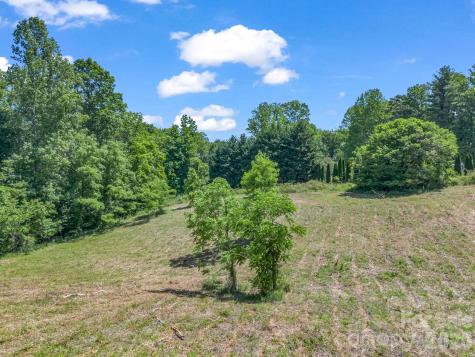 255 & 257 Crescent Street Saluda NC 28773