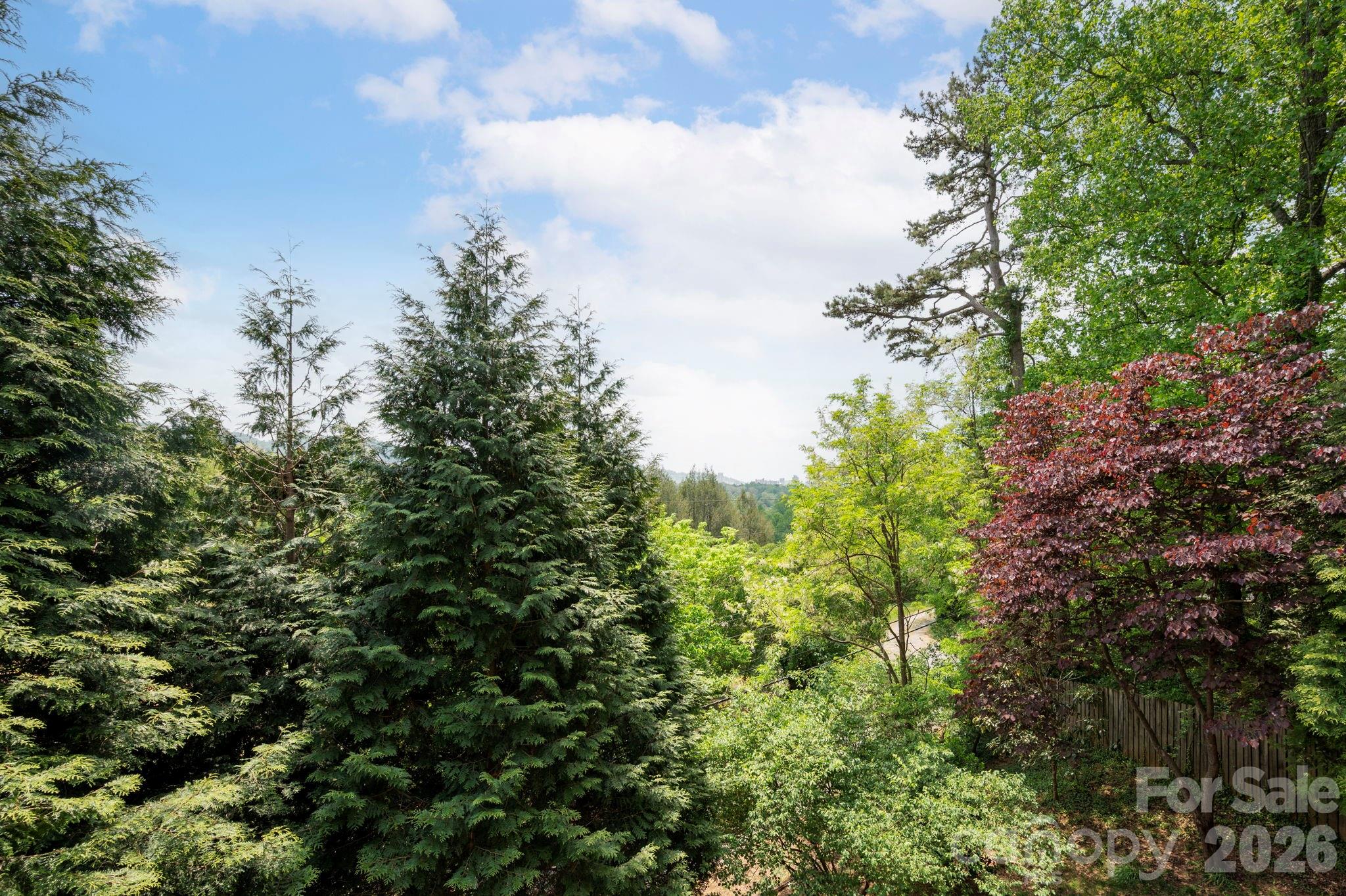 321 Barnard Avenue Asheville NC 28804