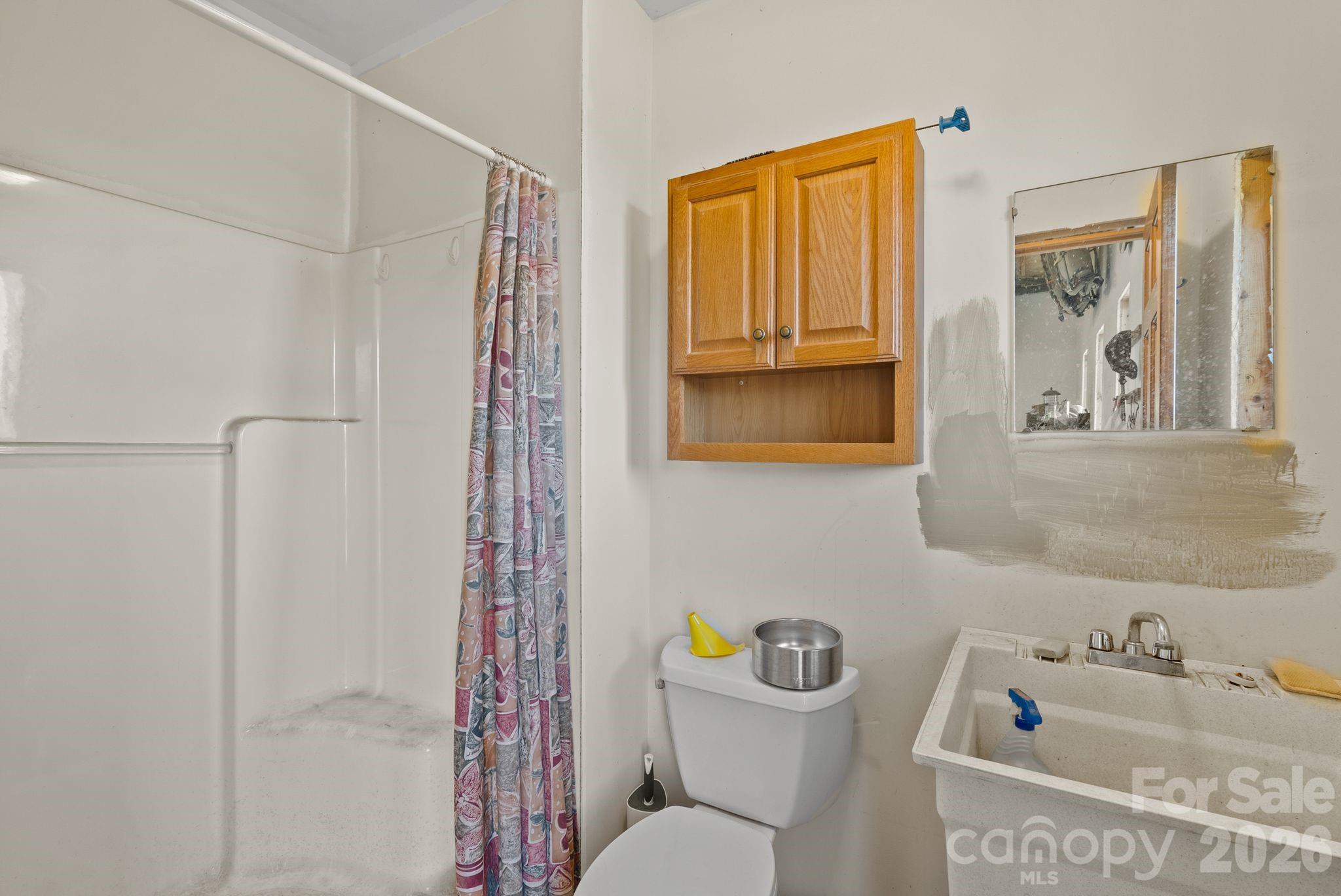 99 Quill Ammons Hollow Marshall NC 28753