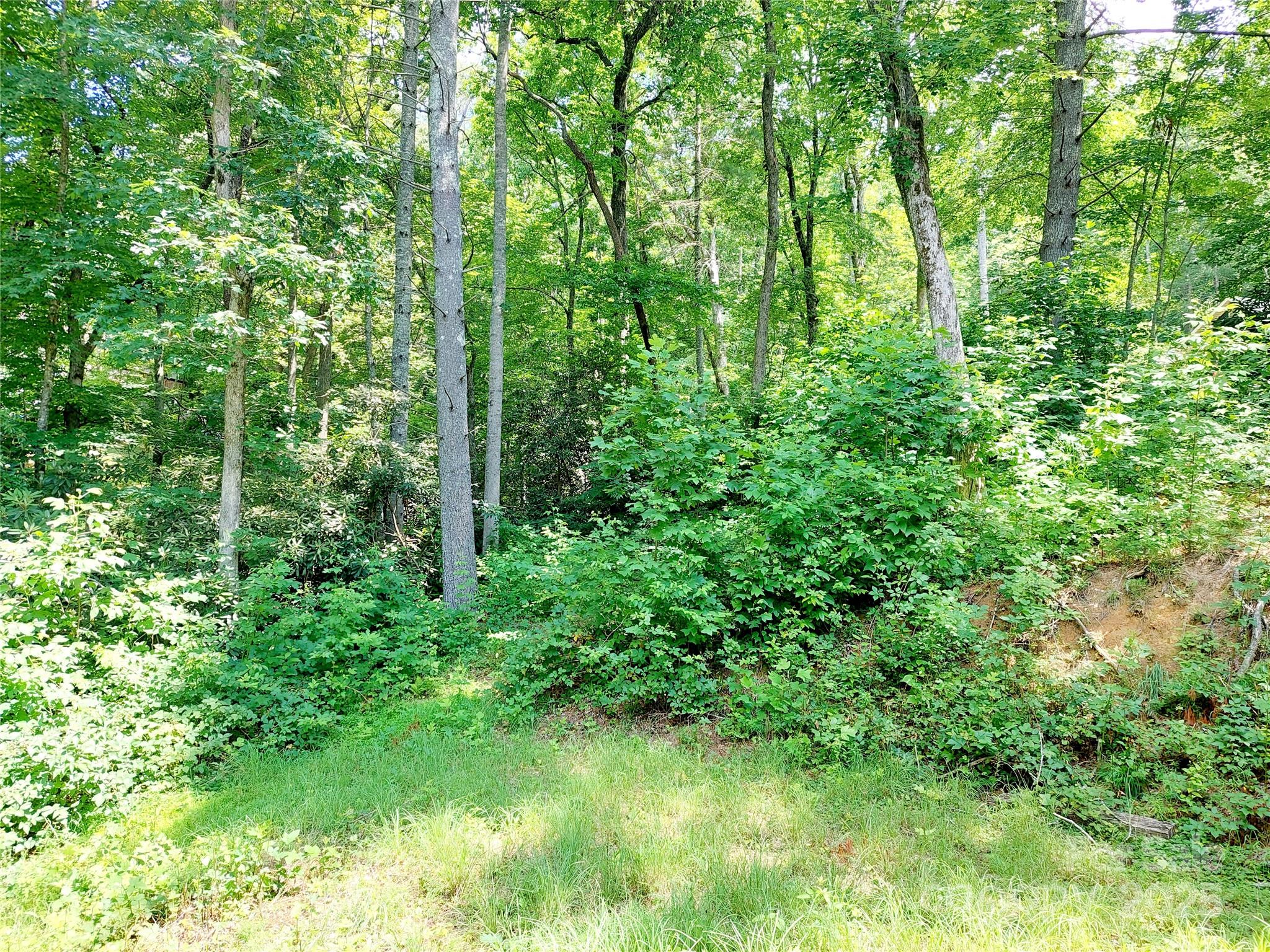 93 Badger Run Hendersonville NC 28739