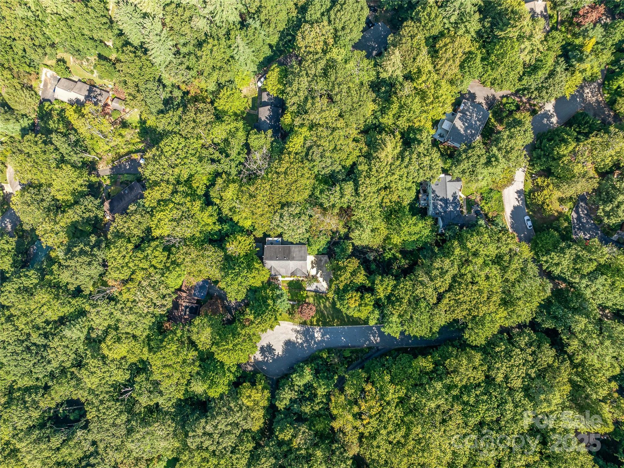 113 Ballantree Drive Asheville NC 28803