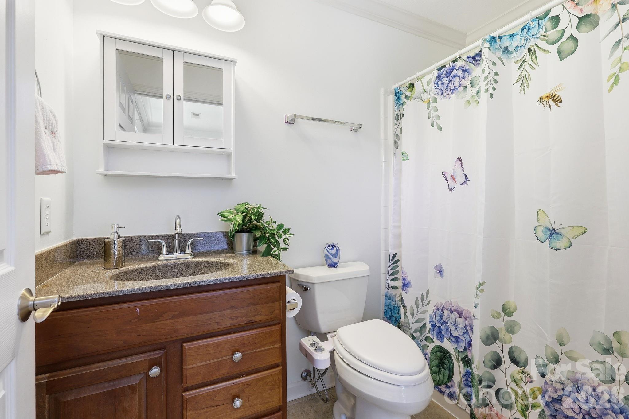 5 Terrace Court Asheville NC 28804