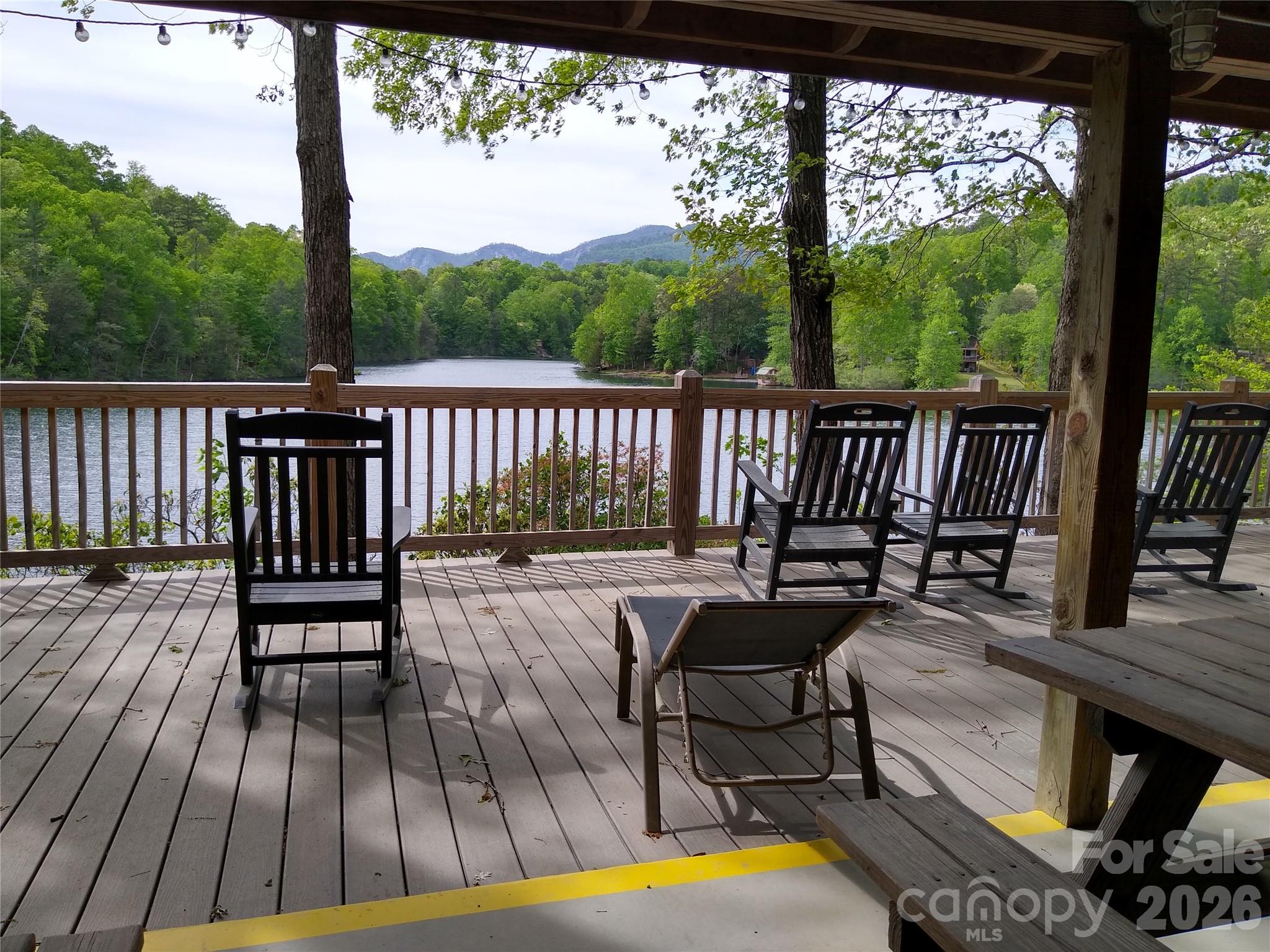109 Overlook Point Lane Lake Lure NC 28746