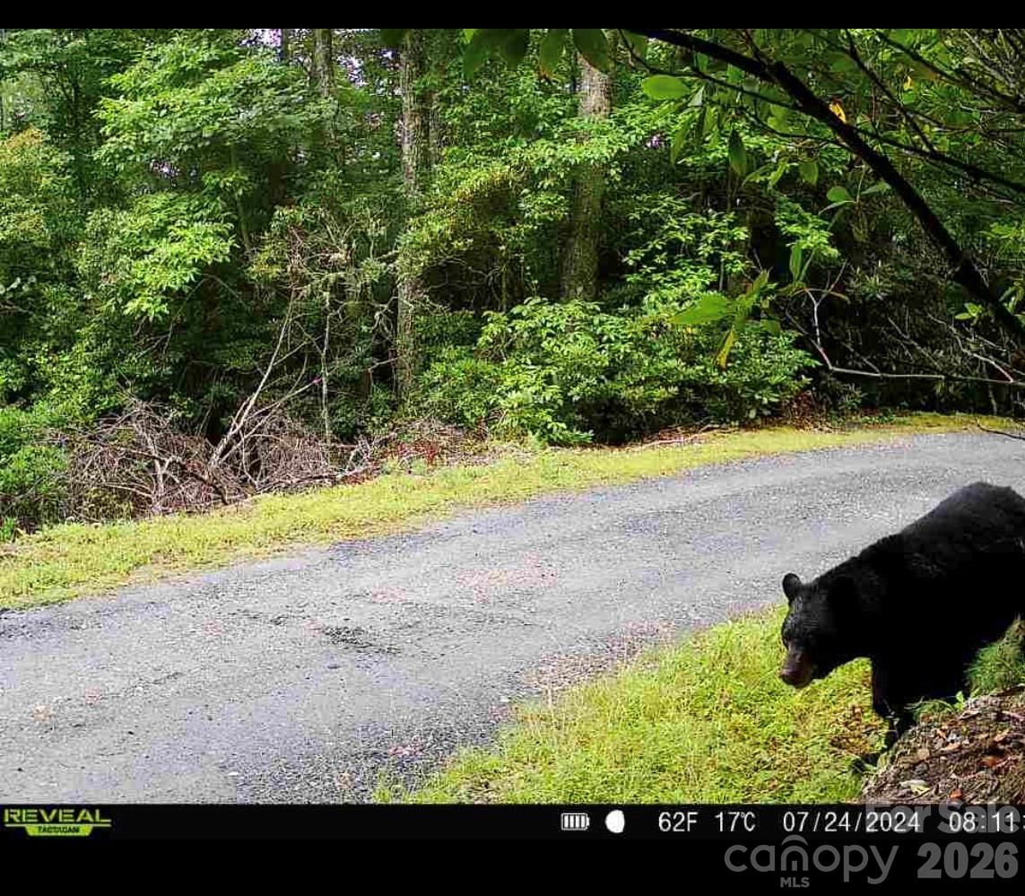 7039 Joe Bowman Avenue Newland NC 28657
