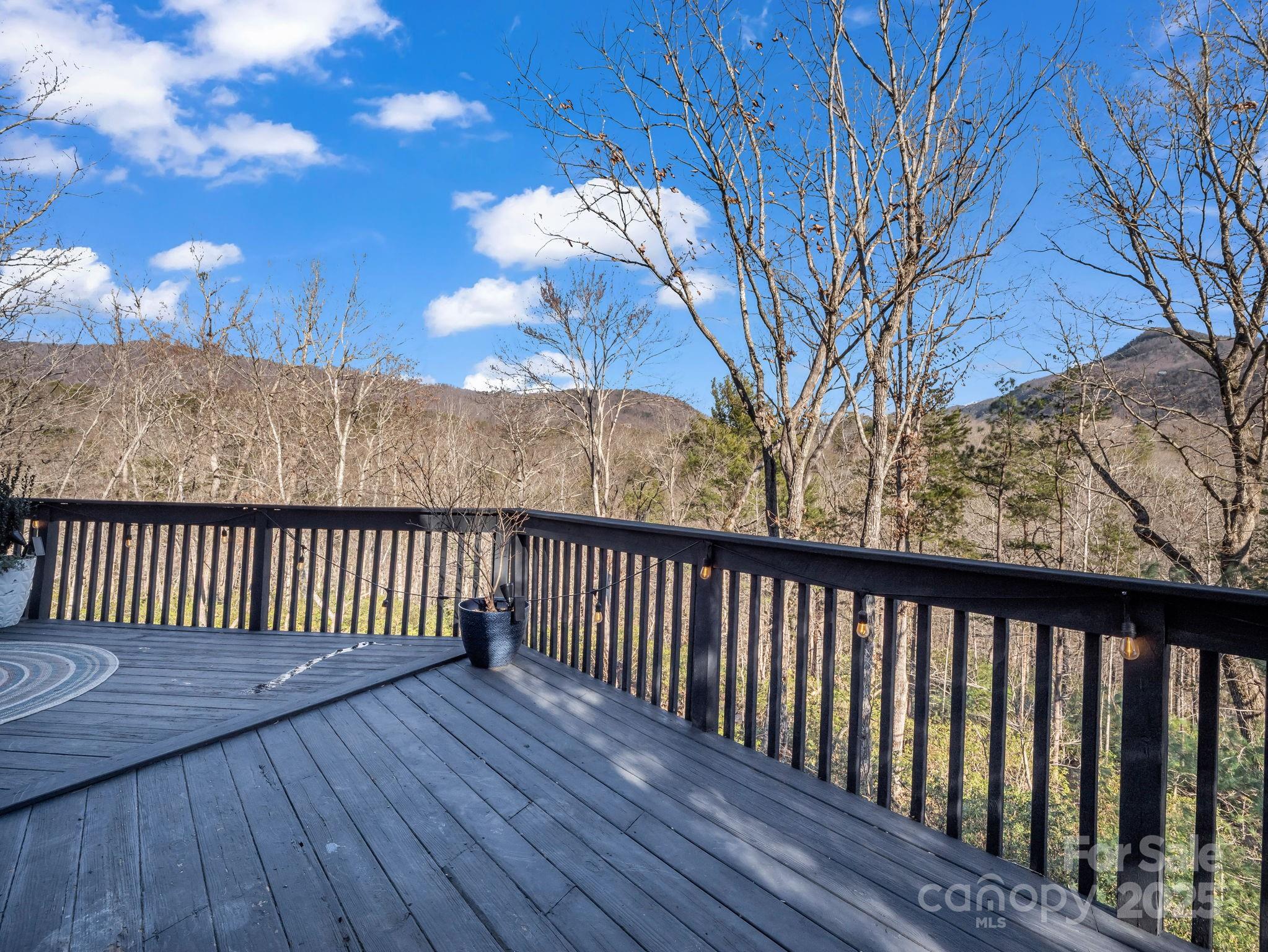 158 Rock Spring Lane Lake Lure NC 28746