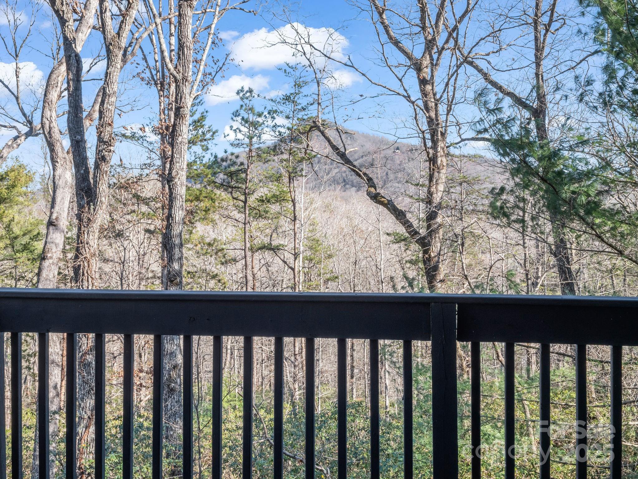 158 Rock Spring Lane Lake Lure NC 28746