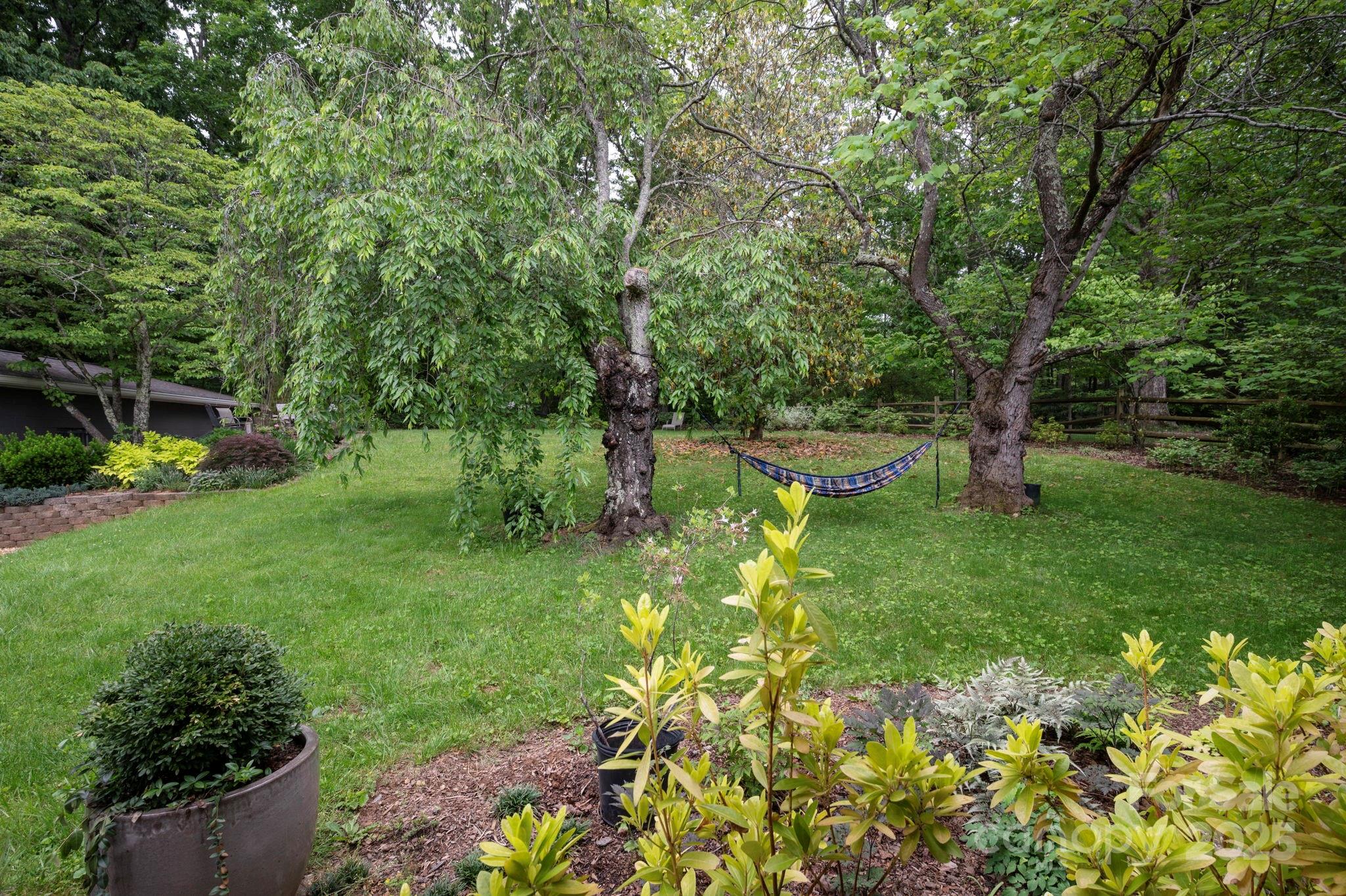 59 Dogwood Grove Asheville NC 28805