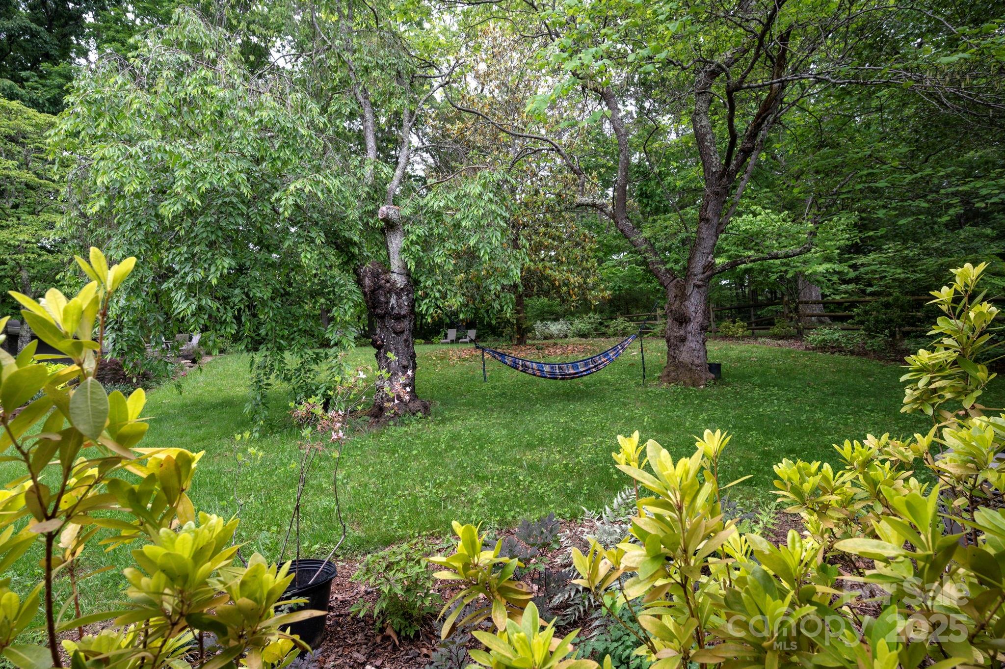 59 Dogwood Grove Asheville NC 28805