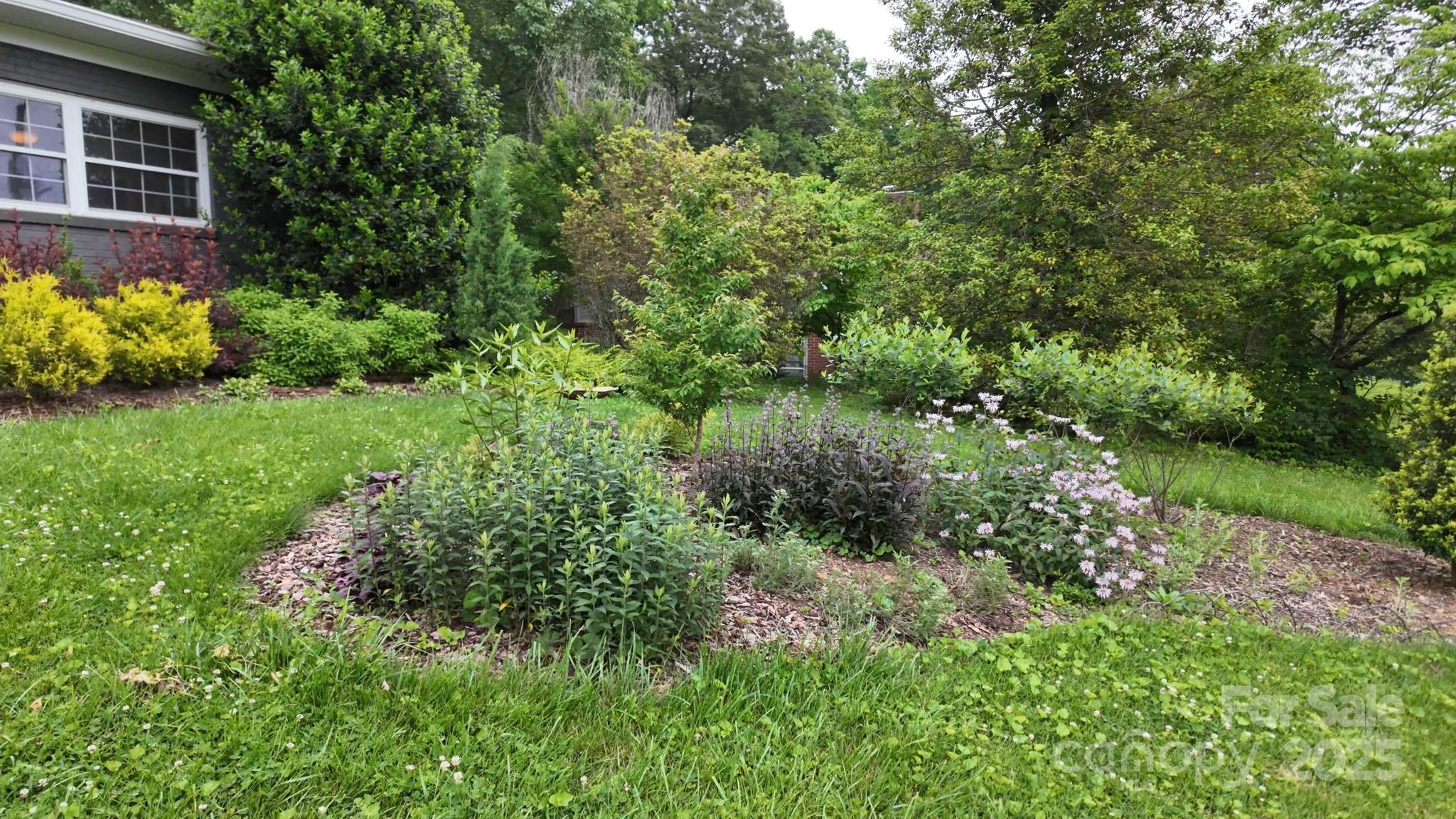 59 Dogwood Grove Asheville NC 28805