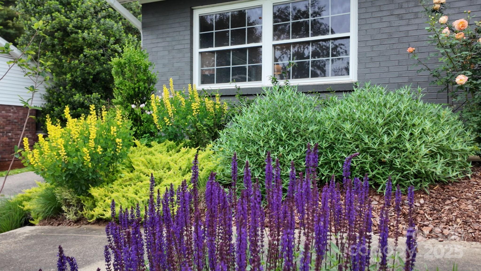 59 Dogwood Grove Asheville NC 28805