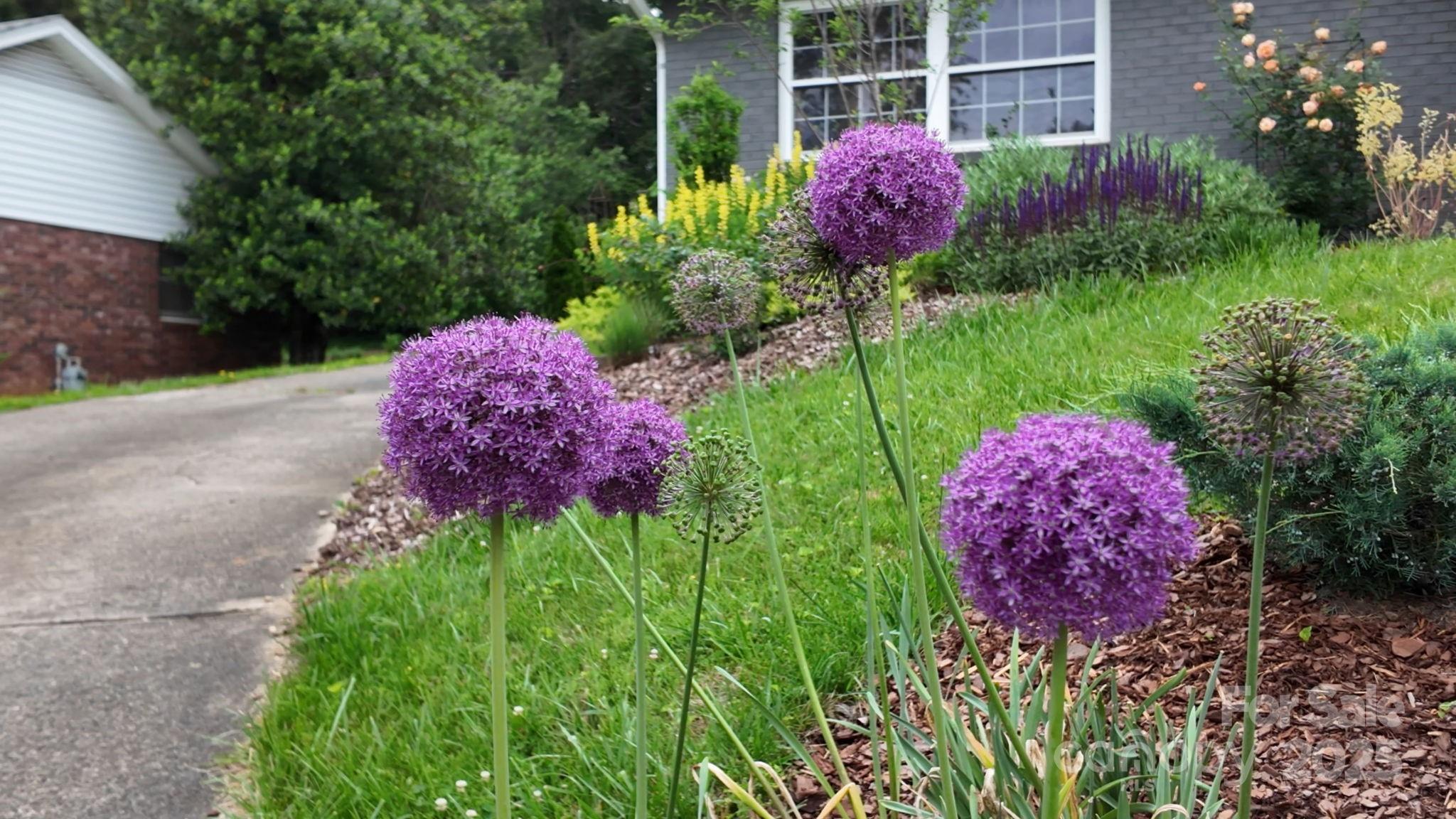 59 Dogwood Grove Asheville NC 28805