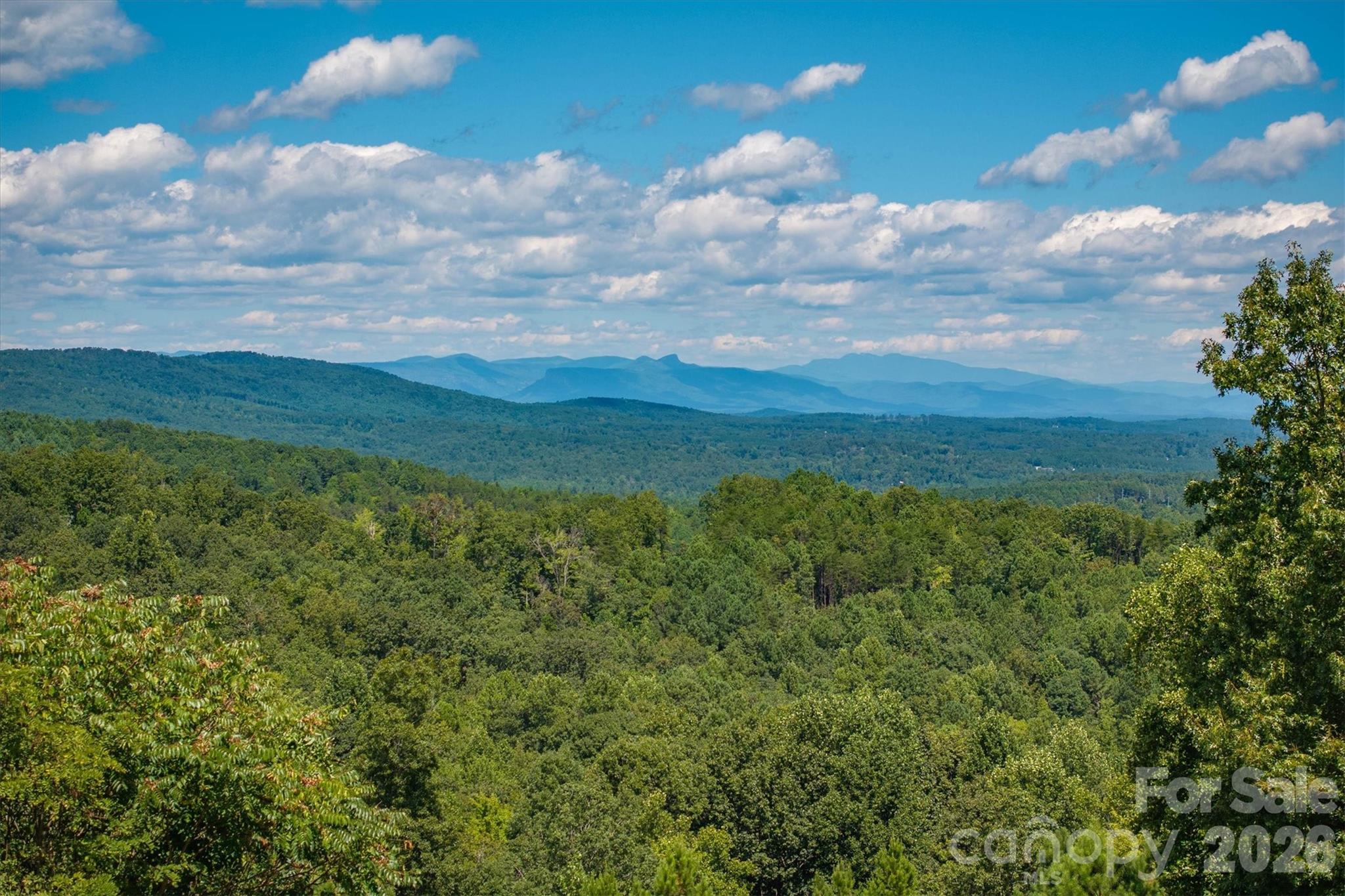2262 Grandview Peaks Drive Nebo NC 28761