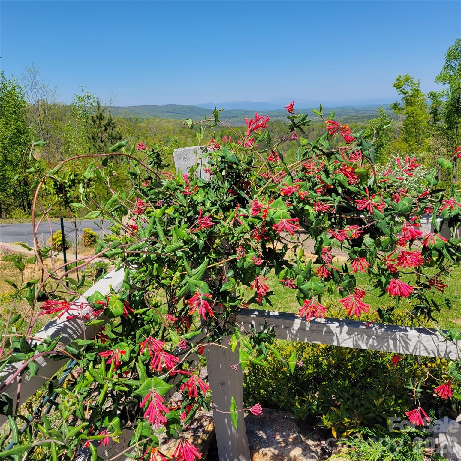 2262 Grandview Peaks Drive Nebo NC 28761