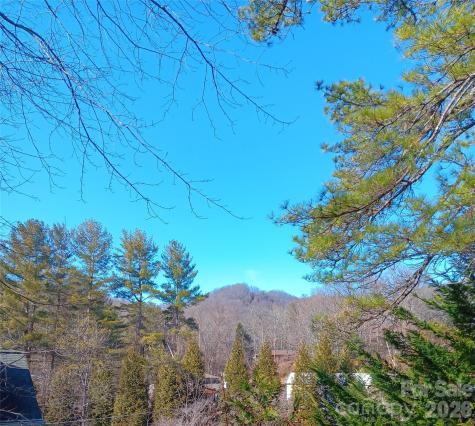 61 White Dogwood Lane Lake Junaluska NC 28745