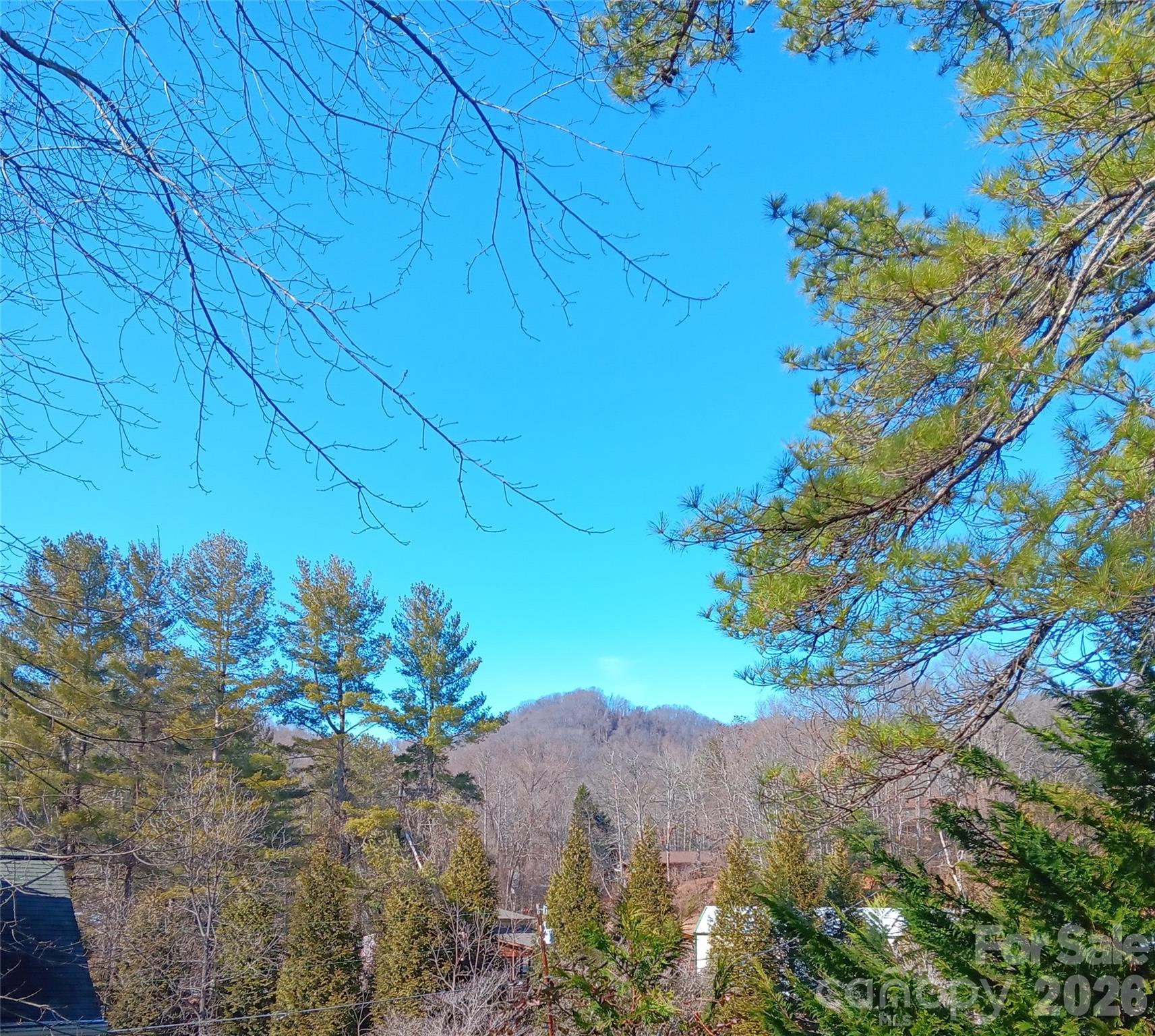 61 White Dogwood Lane Lake Junaluska NC 28745