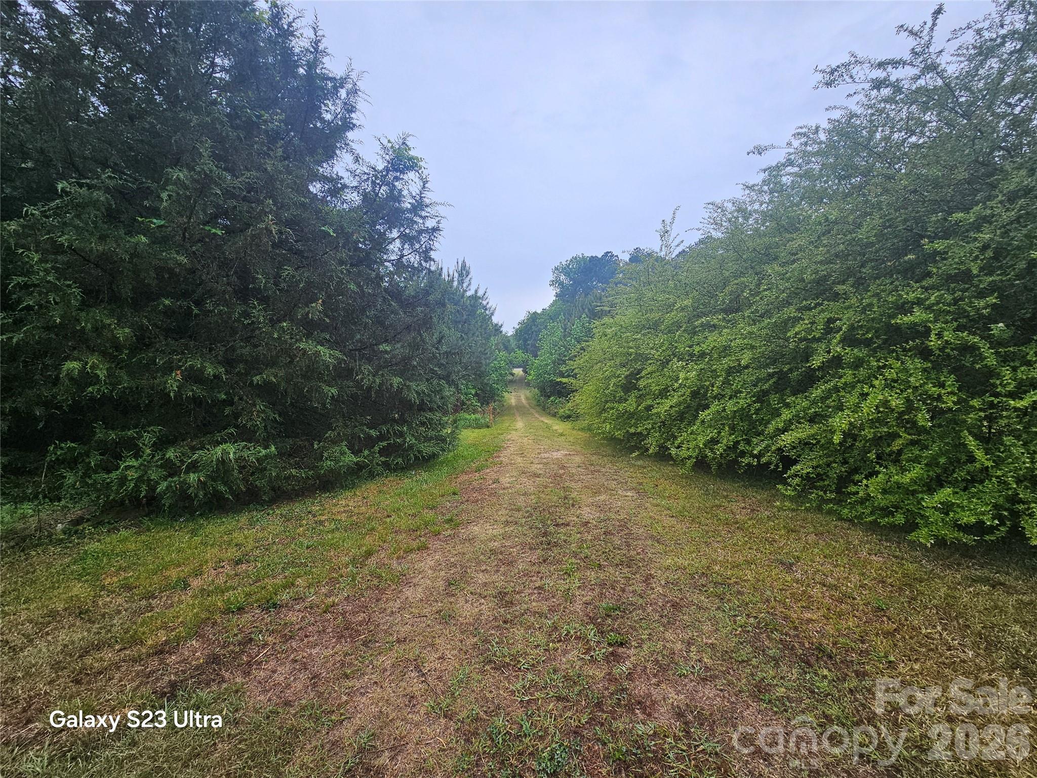 11056 Us Highway 52 Highway N Wadesboro NC 28170