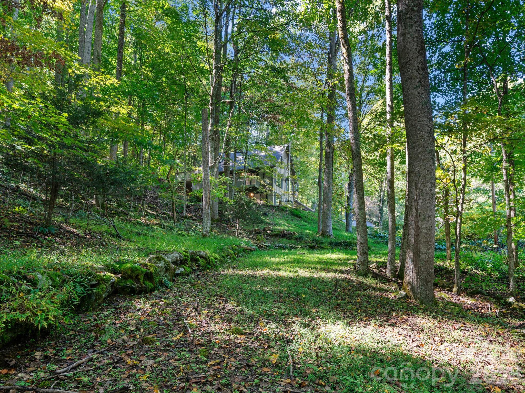81 Summer Trees Lane Burnsville NC 28714