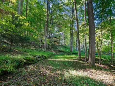 81 Summer Trees Lane Burnsville NC 28714