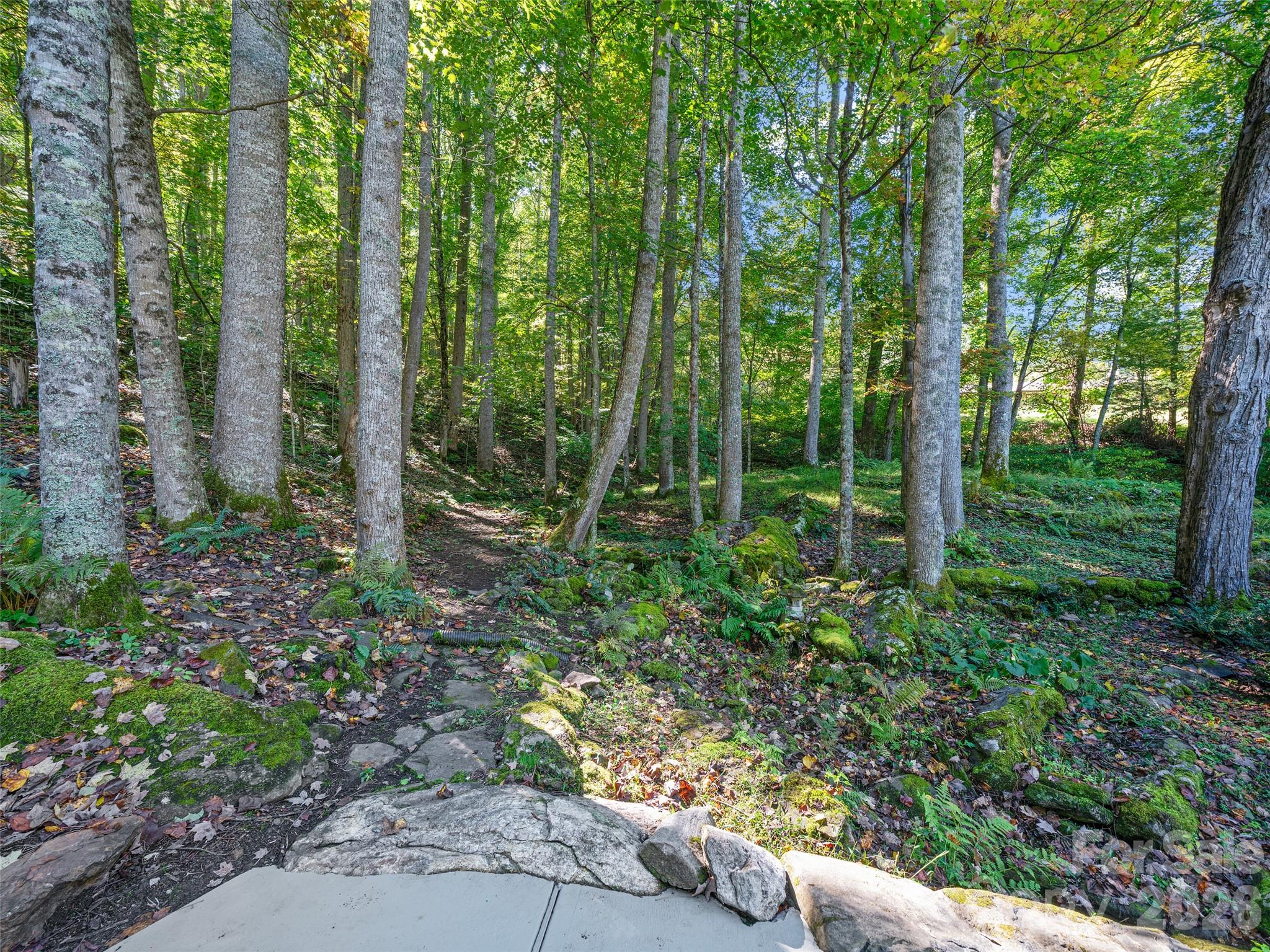 81 Summer Trees Lane Burnsville NC 28714