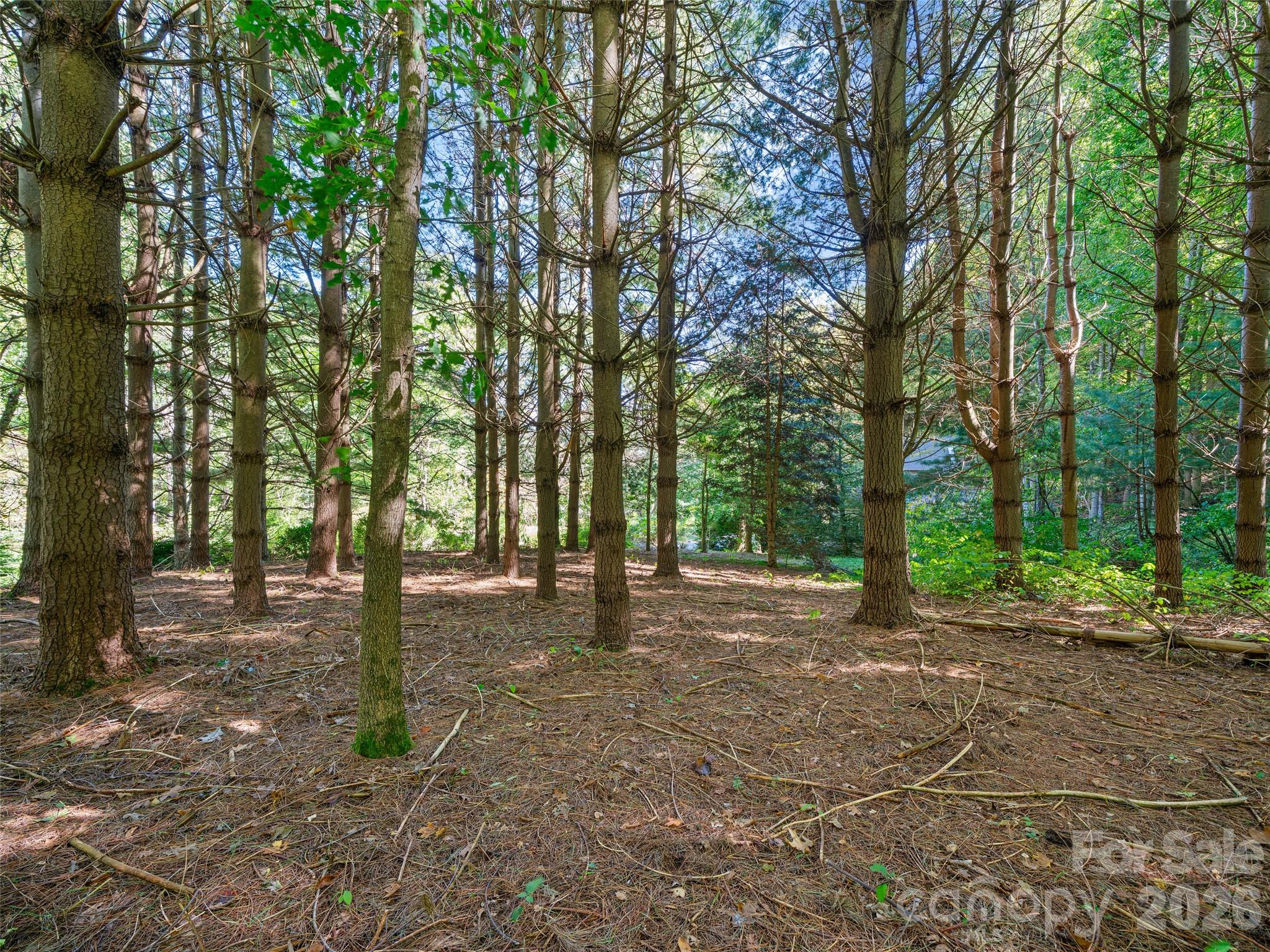 81 Summer Trees Lane Burnsville NC 28714