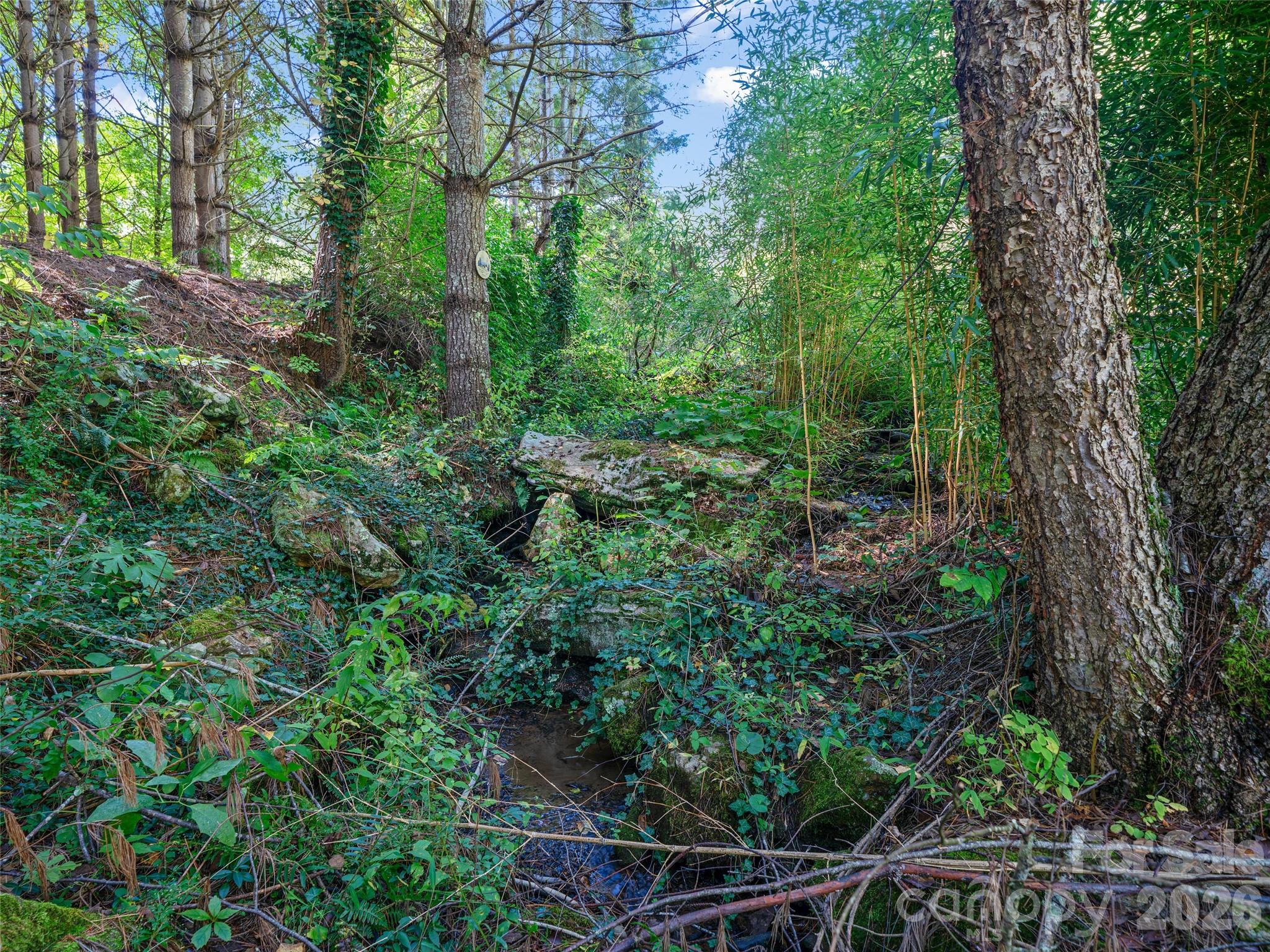 81 Summer Trees Lane Burnsville NC 28714
