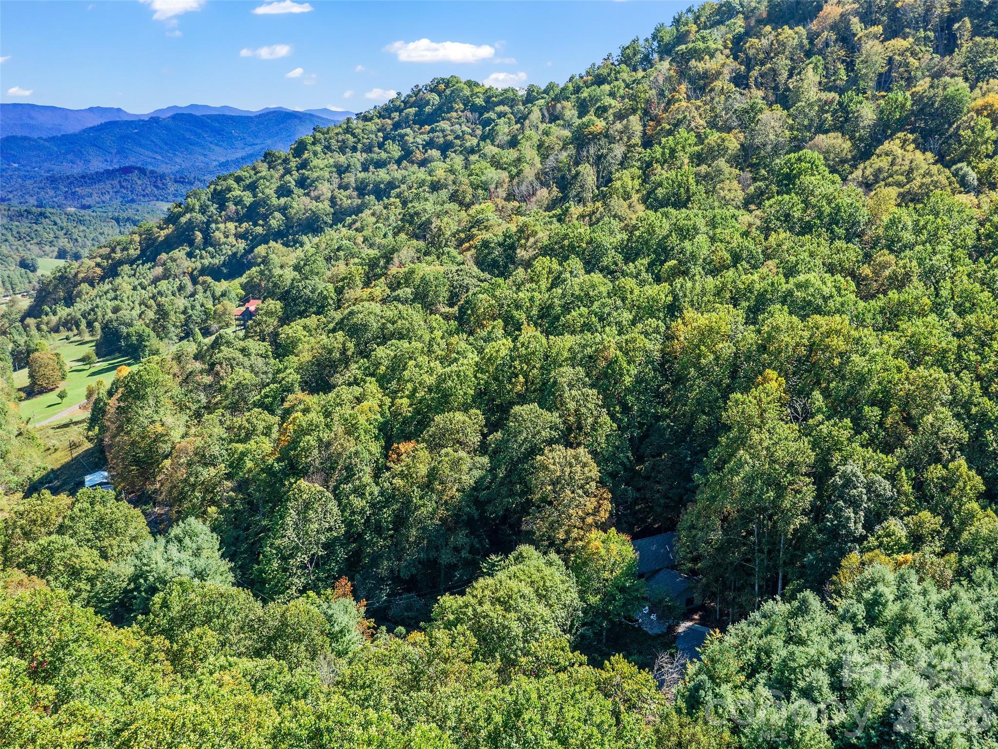 81 Summer Trees Lane Burnsville NC 28714