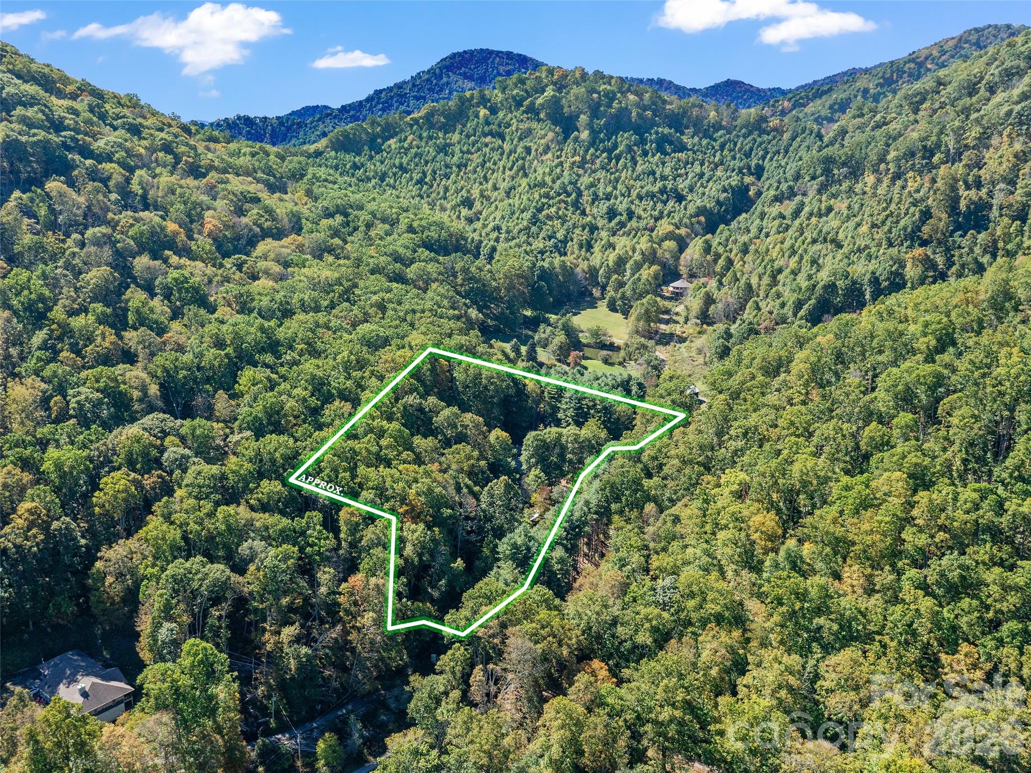 81 Summer Trees Lane Burnsville NC 28714