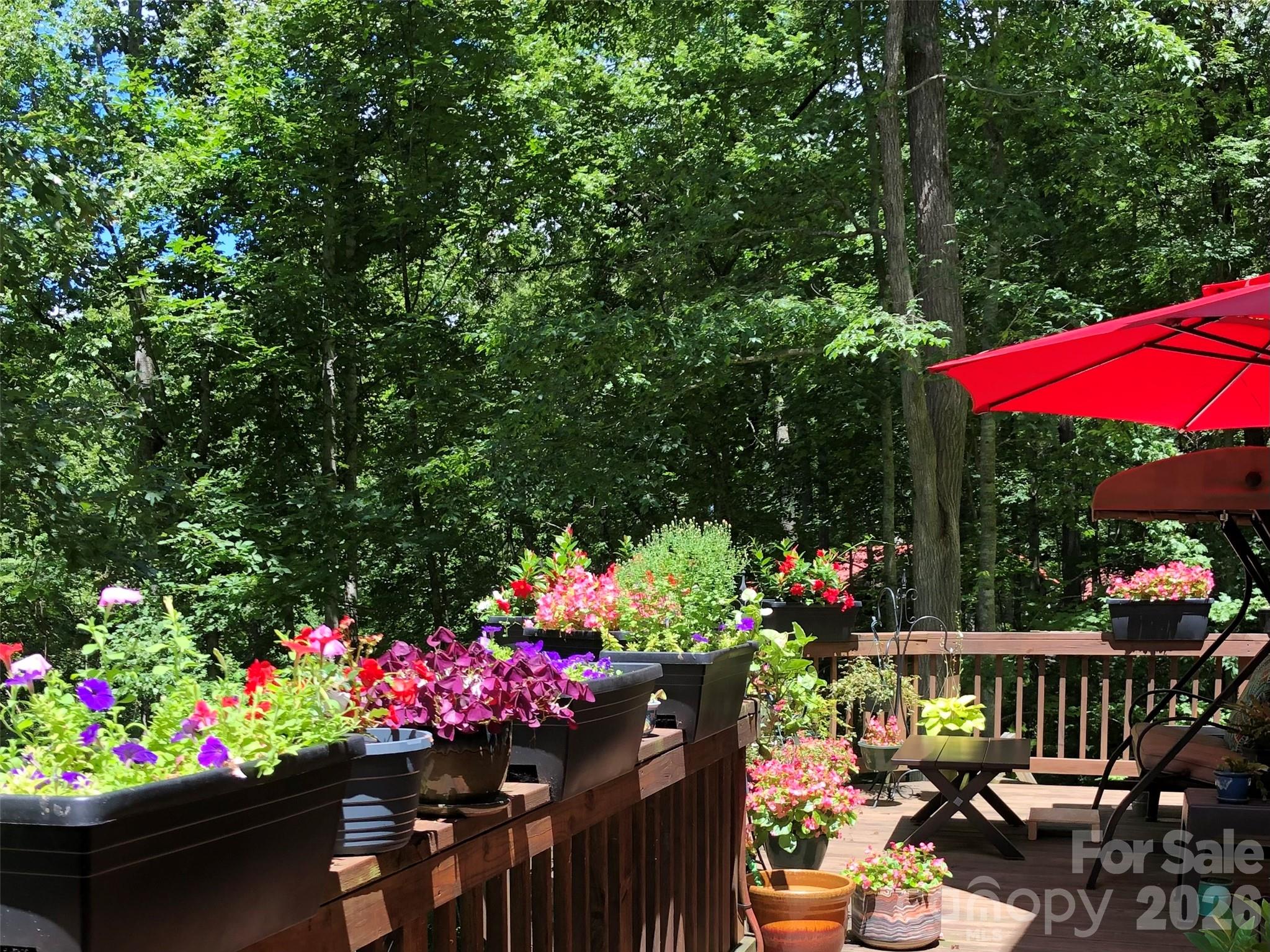 55 Sugar Hill Drive Weaverville NC 28787