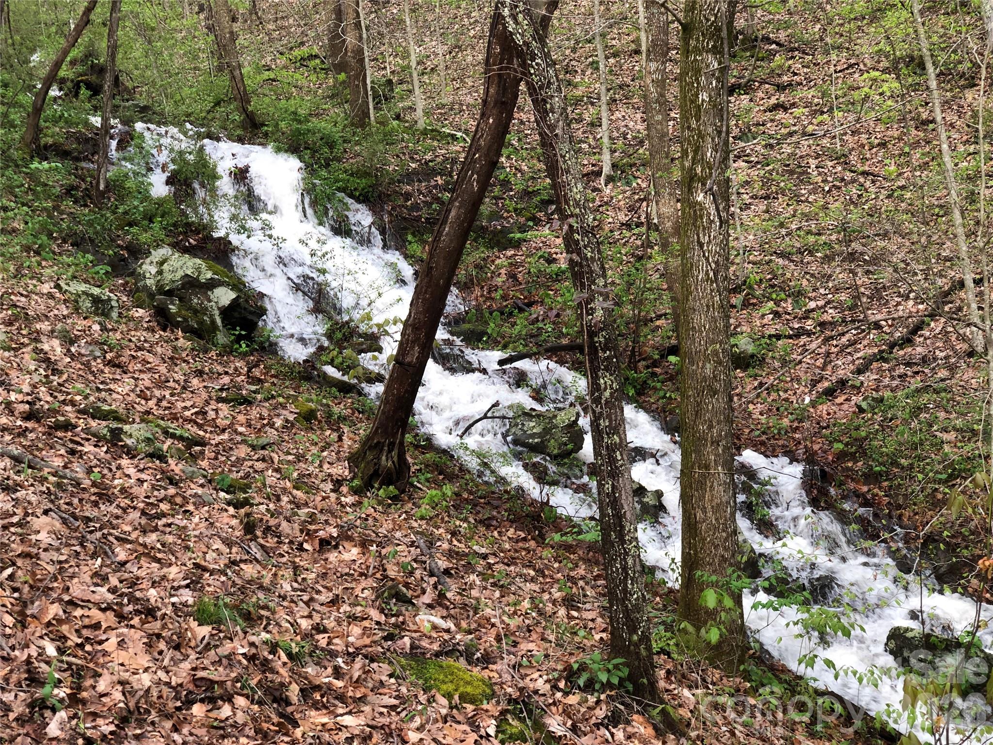 55 Sugar Hill Drive Weaverville NC 28787