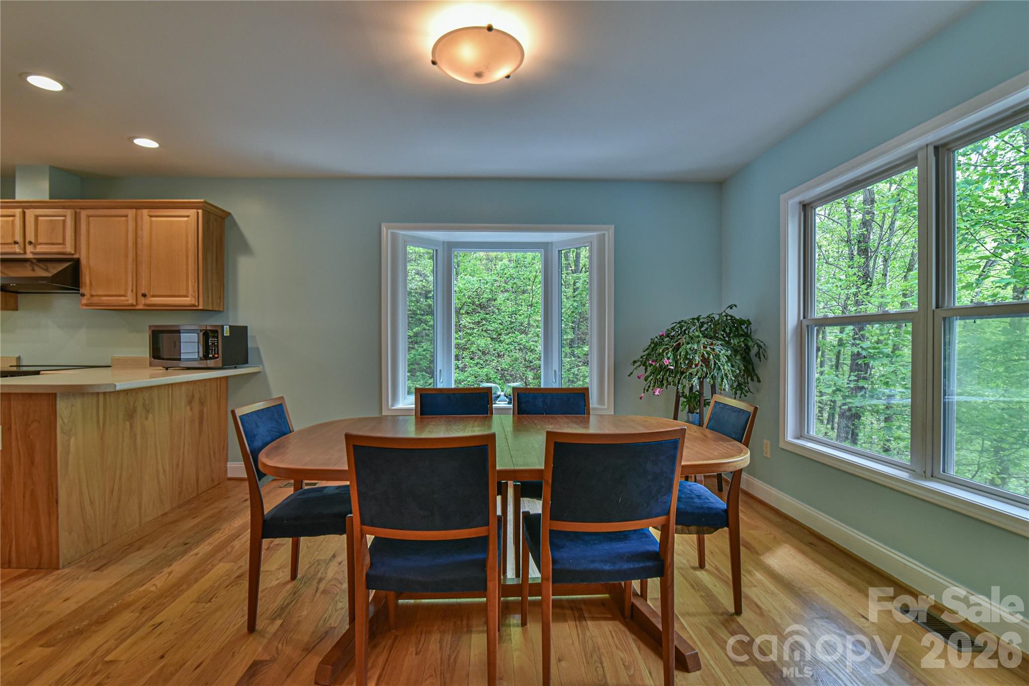 55 Sugar Hill Drive Weaverville NC 28787