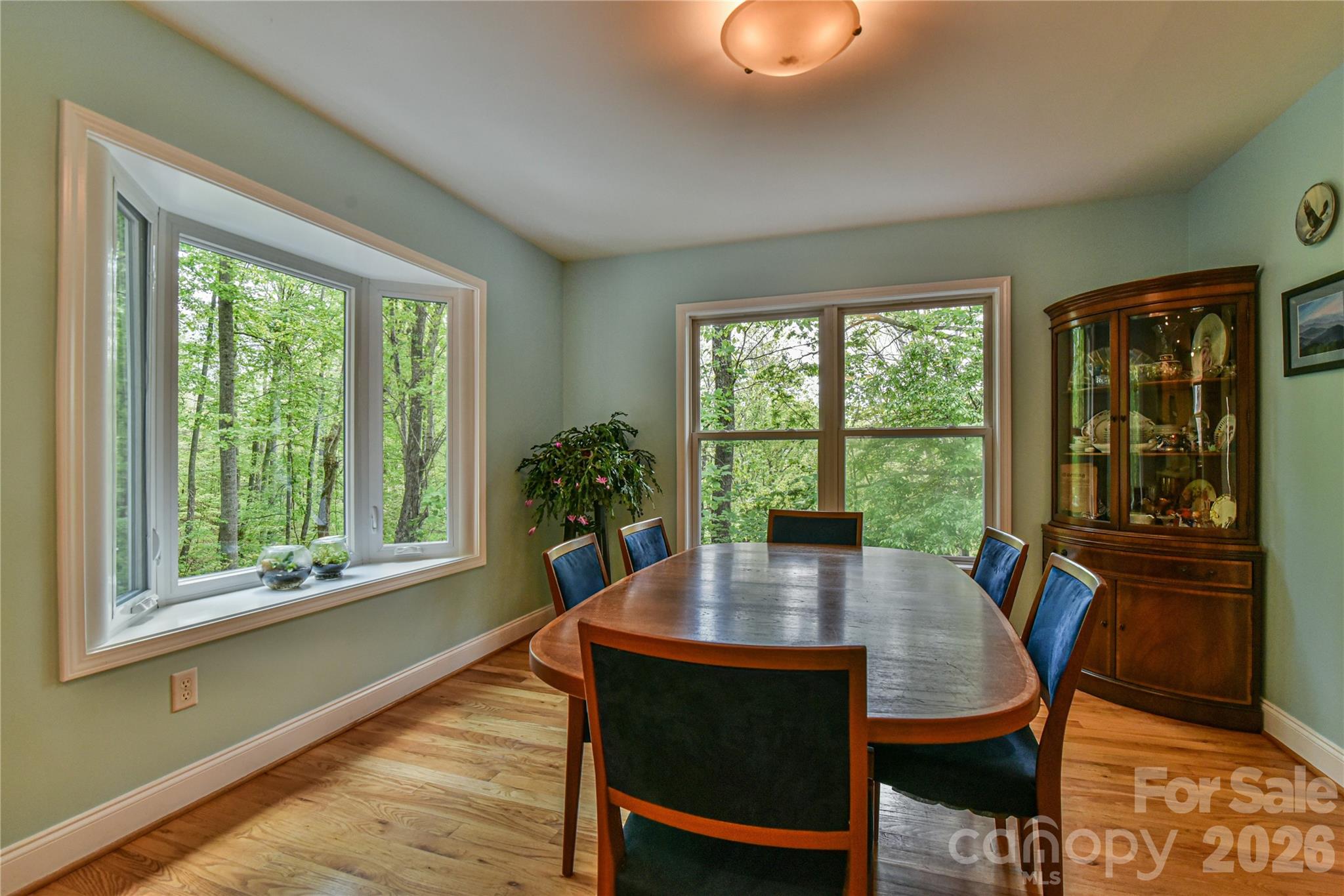 55 Sugar Hill Drive Weaverville NC 28787