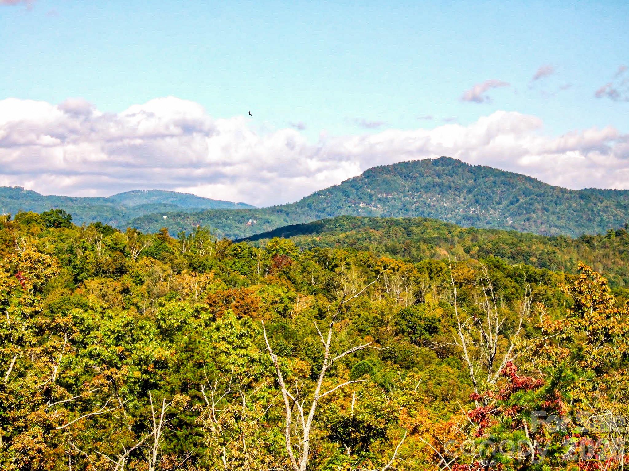 111 Arabesque Way Lake Lure NC 28746