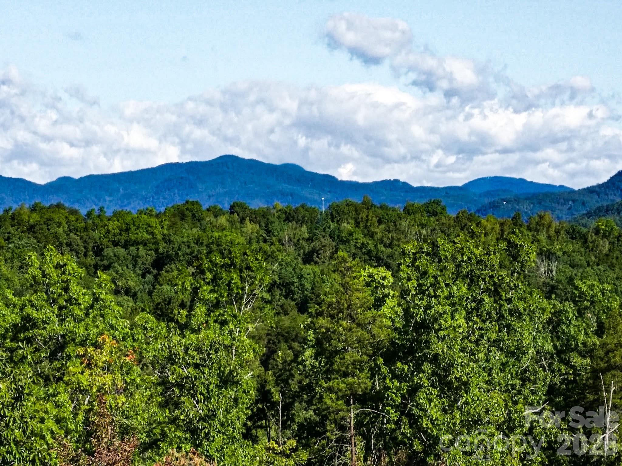111 Arabesque Way Lake Lure NC 28746