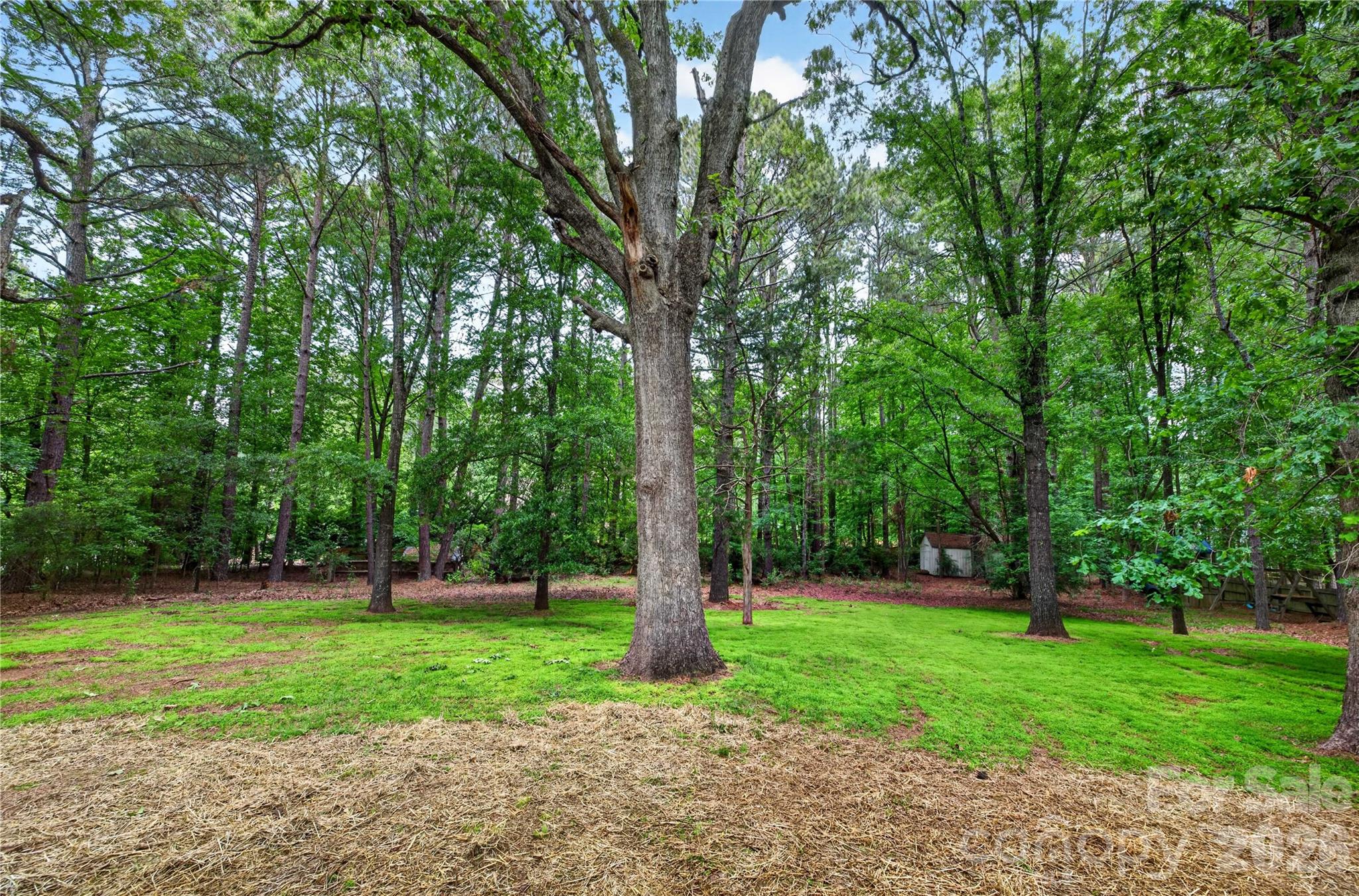 6424 Antioch Court Matthews NC 28104