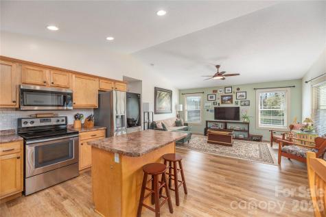 20 Golden Tree Lane Asheville NC 28806