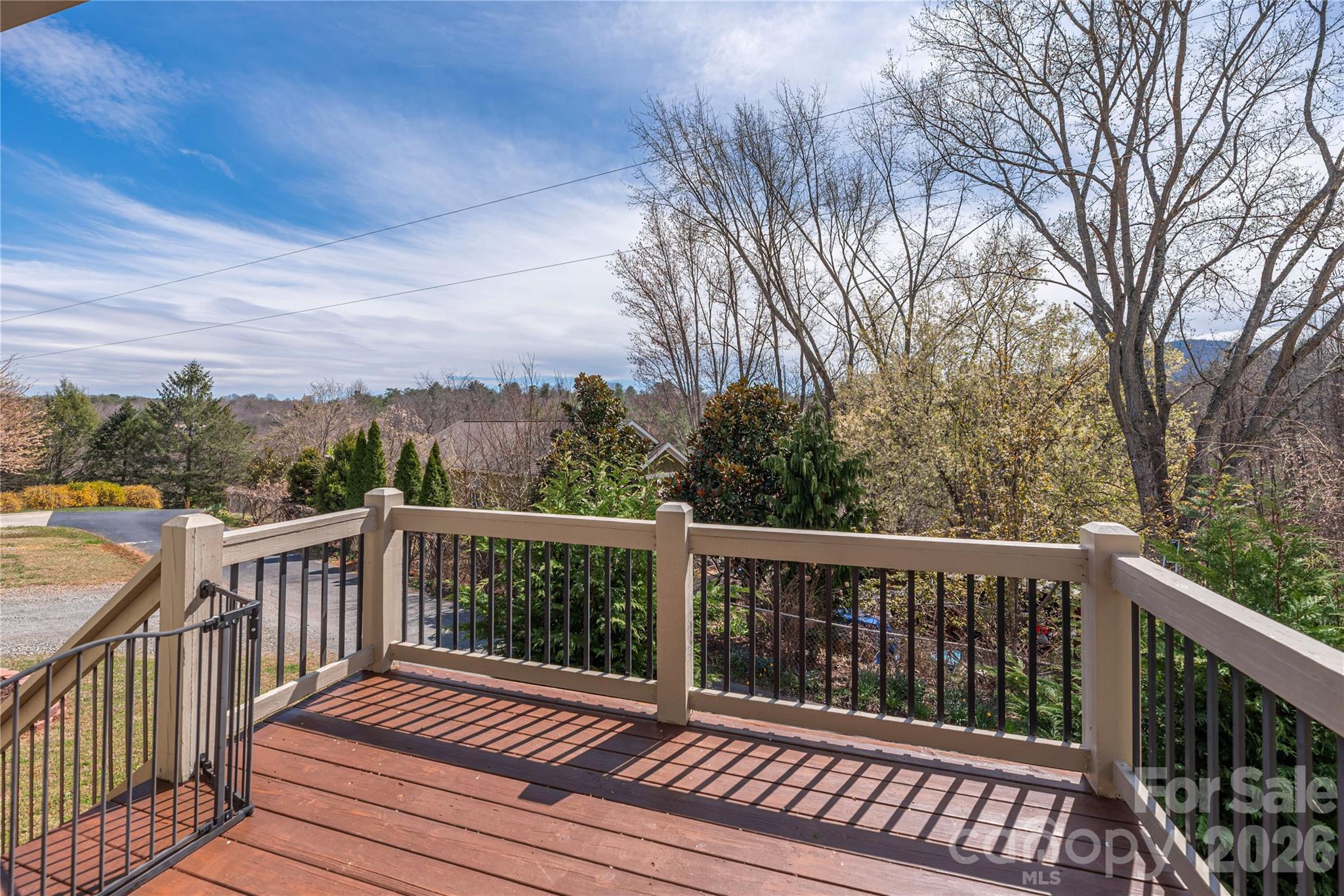 20 Golden Tree Lane Asheville NC 28806