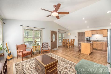 20 Golden Tree Lane Asheville NC 28806