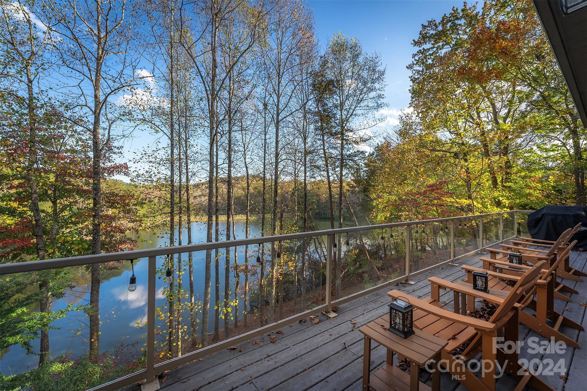 216 Woodland Circle Lake Lure NC 28746