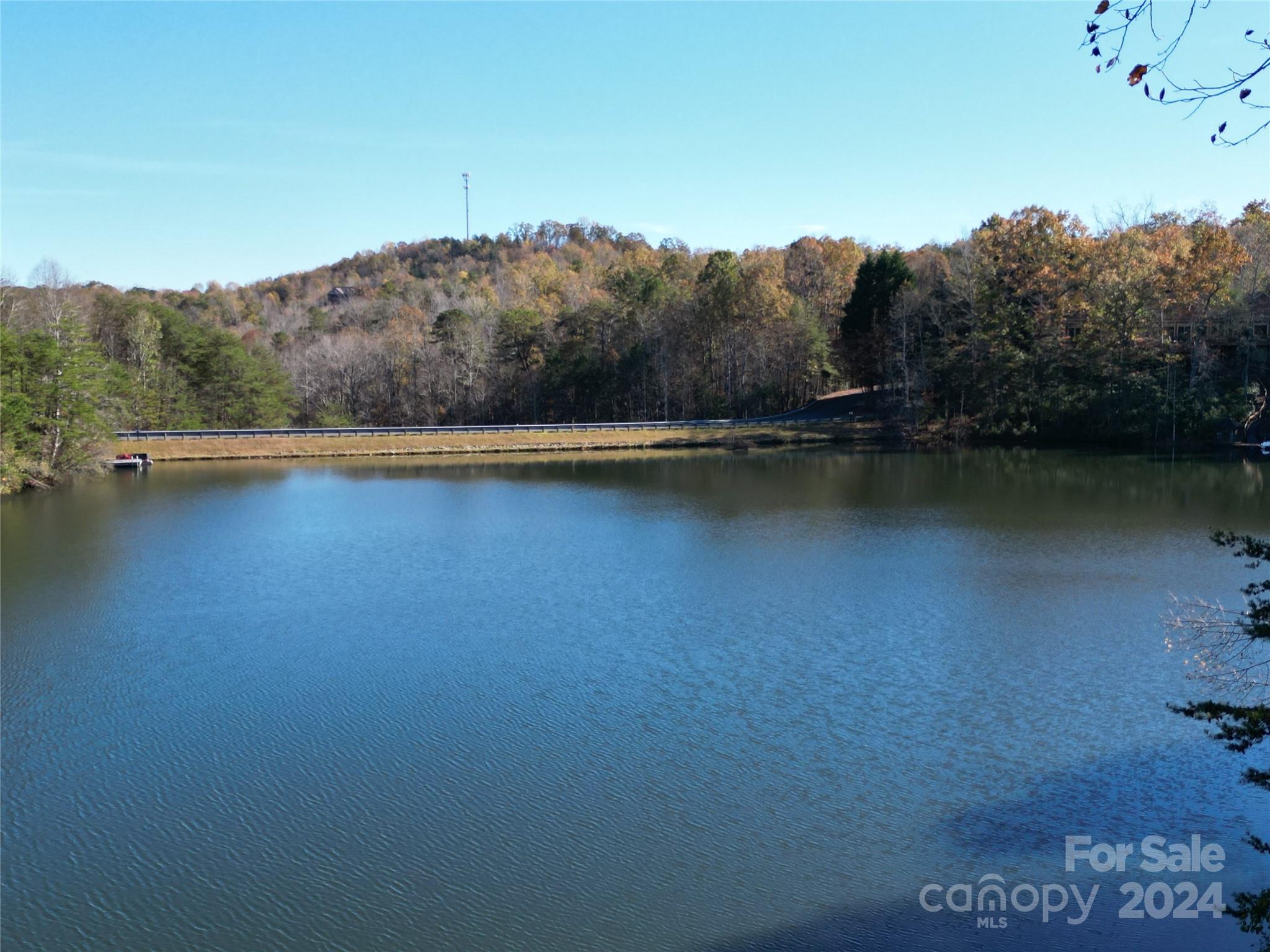 216 Woodland Circle Lake Lure NC 28746