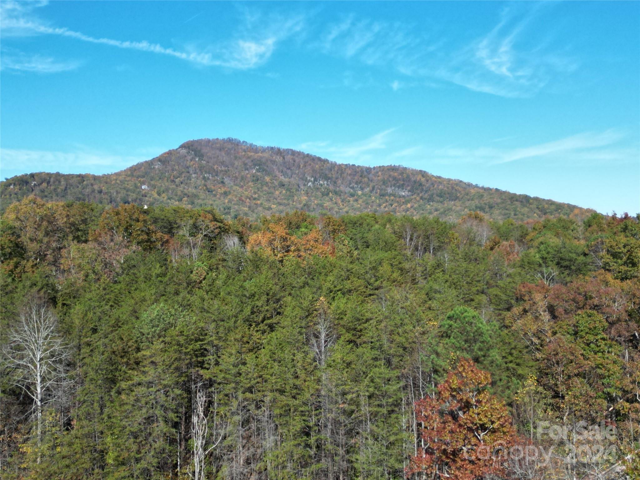 216 Woodland Circle Lake Lure NC 28746