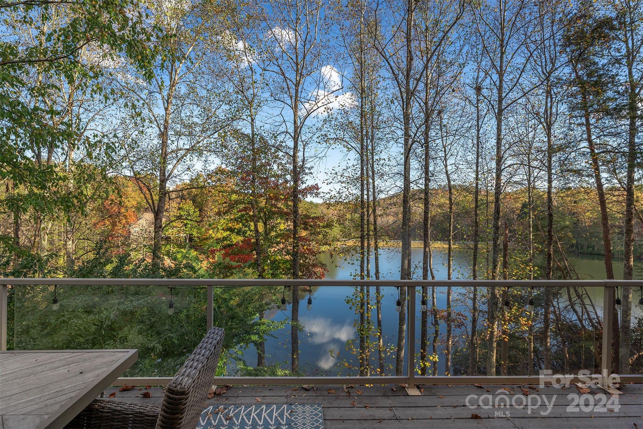 216 Woodland Circle Lake Lure NC 28746