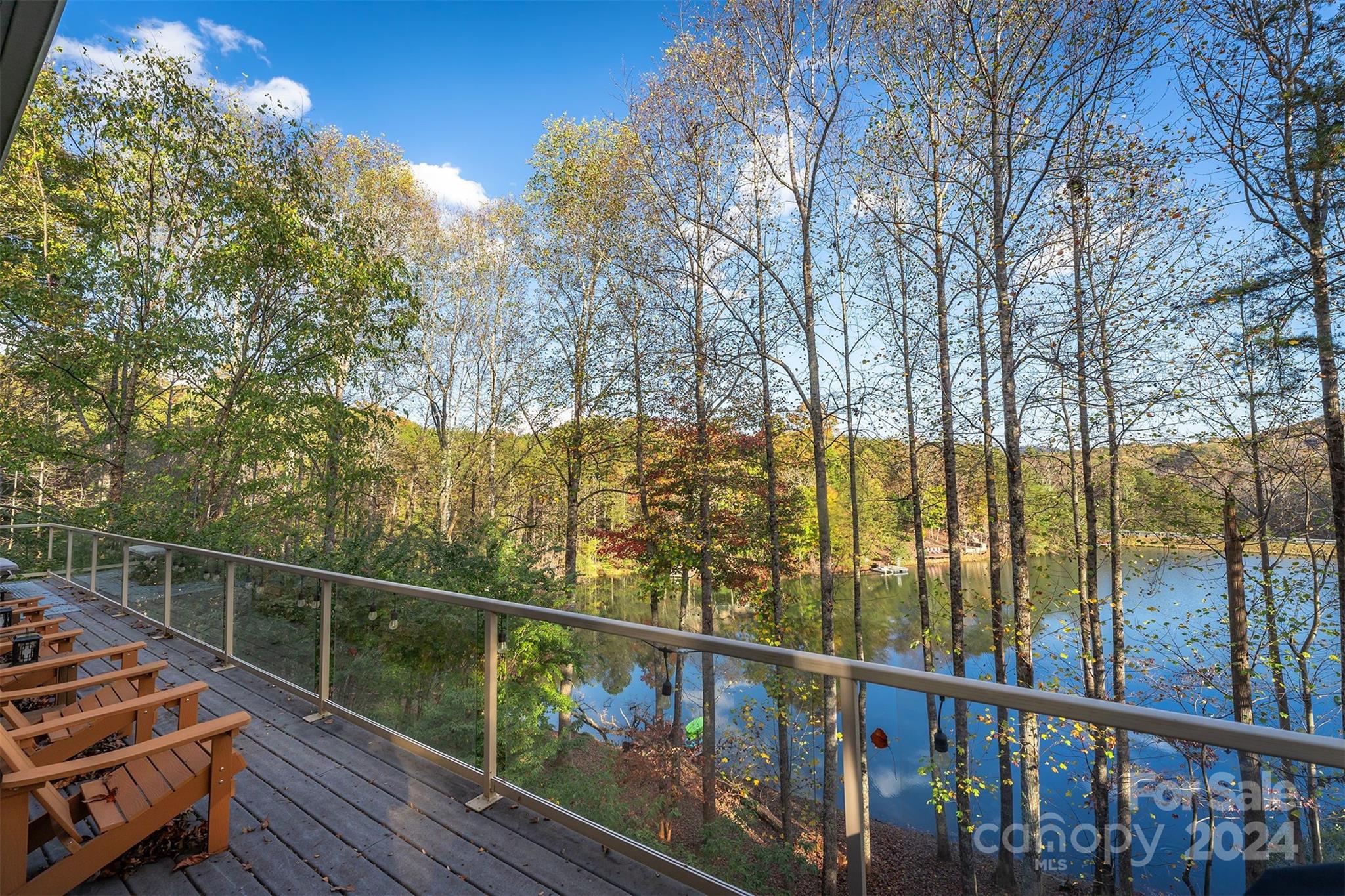 216 Woodland Circle Lake Lure NC 28746