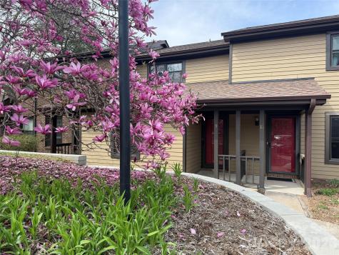 16 Spears Avenue Asheville NC 28801