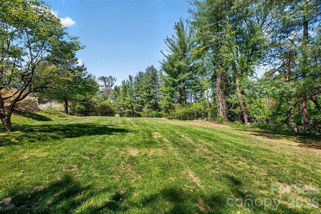 16 Spears Avenue Asheville NC 28801