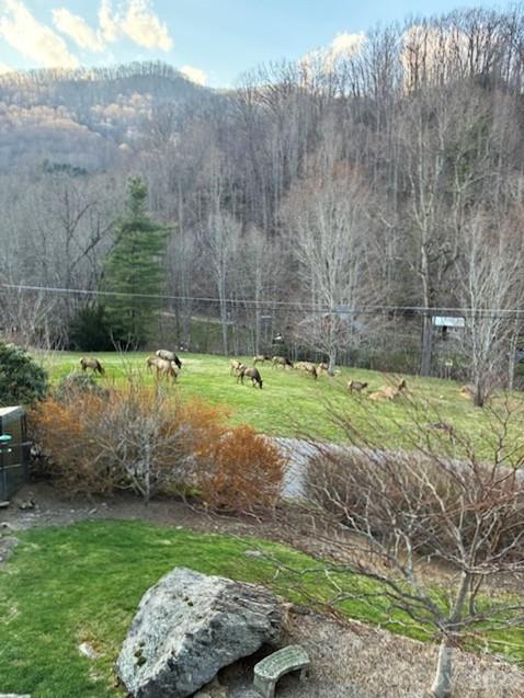 361 Black Camp Gap Road Maggie Valley NC 28751