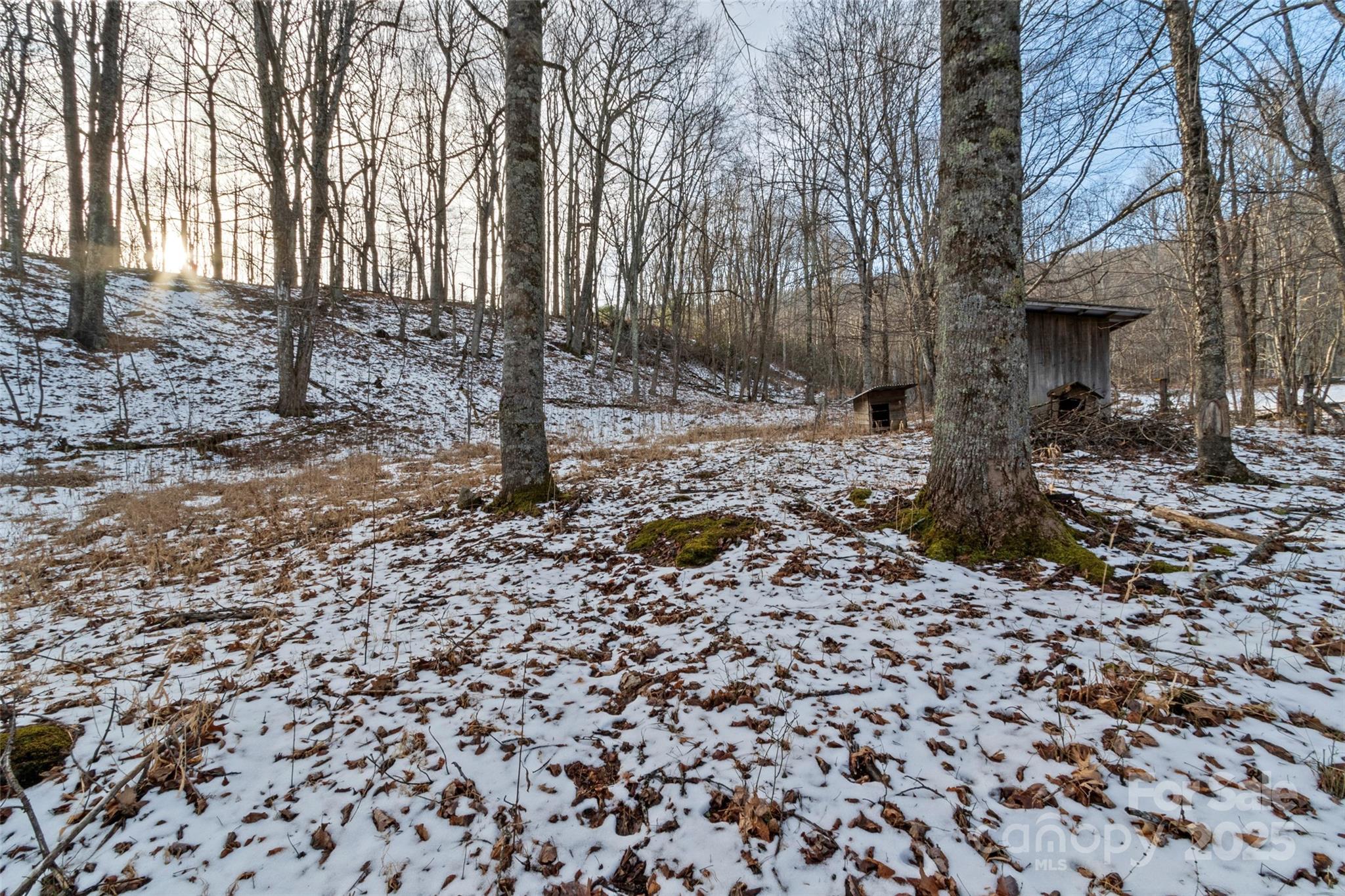 1571 Roaring Fork Road Burnsville NC 28714